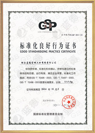 AAAA Good Standardizing Practice Certificate
